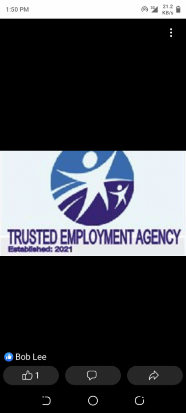 Mr Sunday employment agency
